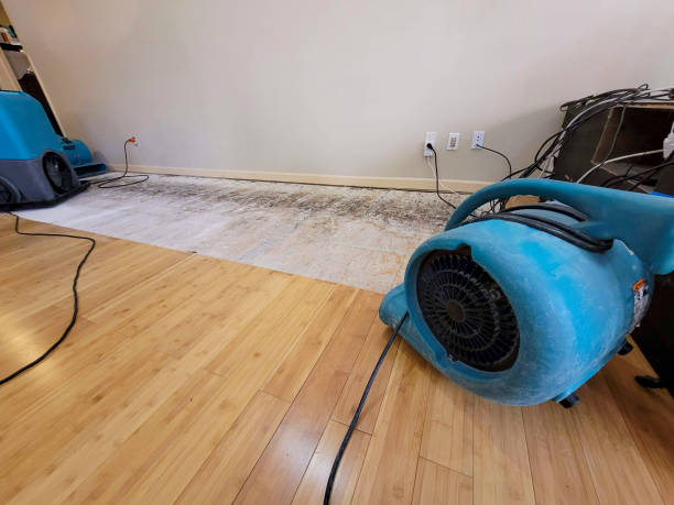 Professional Structural Drying technician working in Nerstrand, MN